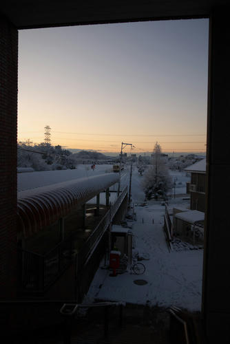 20120124_064236.jpg