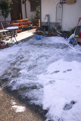 20120128_120730.jpg