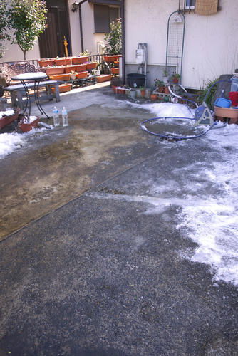 20120128_125500.jpg