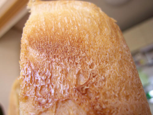 20120204_100942.jpg