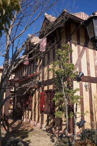 20120204_132044.jpg