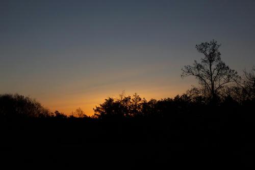 20120209_063338.jpg