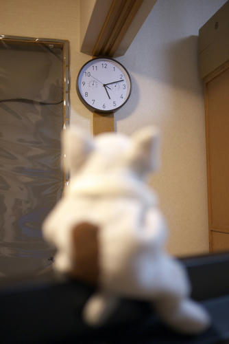 20120211_171110.jpg