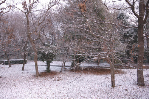 20120217_063724.jpg