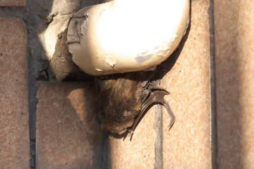 20120218_155948.jpg