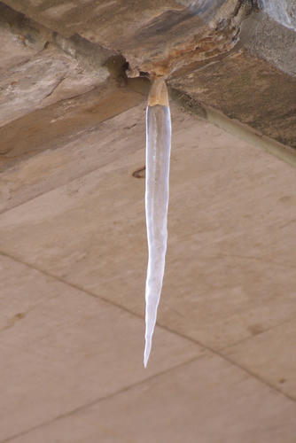 20120218_122250.jpg