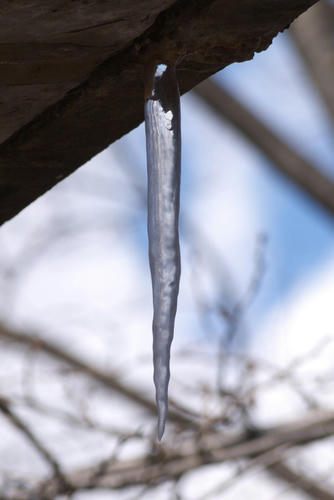 20120218_122324_1.jpg