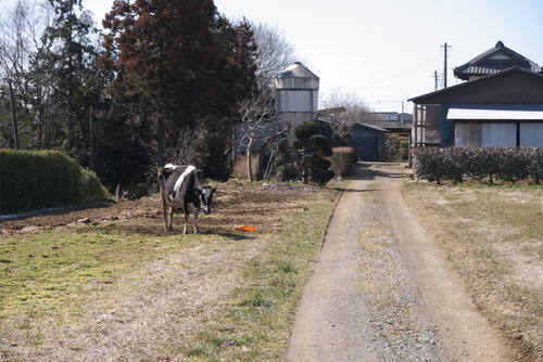 20120219_113912.jpg