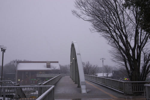 20120229_063224.jpg