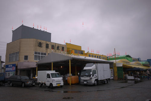 20120317_115744.jpg