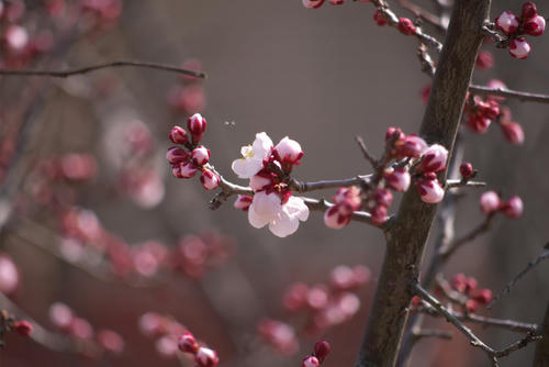 20120320_132718.jpg