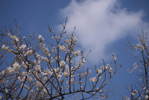 20120320_141050.jpg
