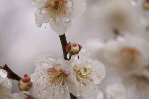 20120324_134118.jpg