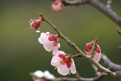 20120324_140528.jpg