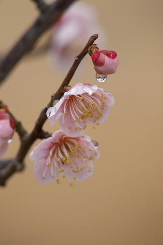 20120324_140358.jpg