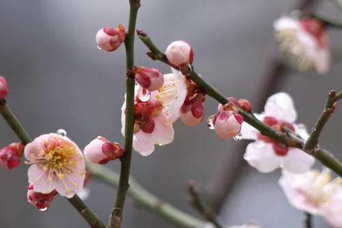 20120324_140132.jpg