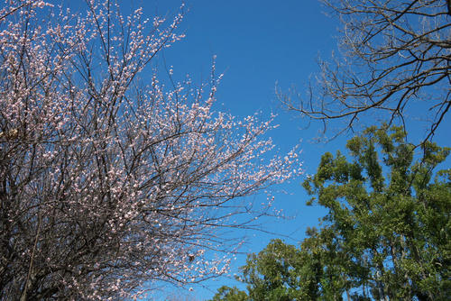 20120325_130254.jpg