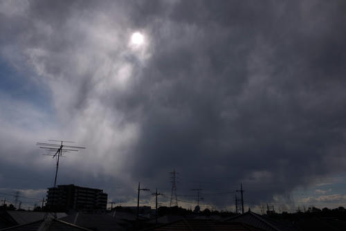 20120325_145506.jpg