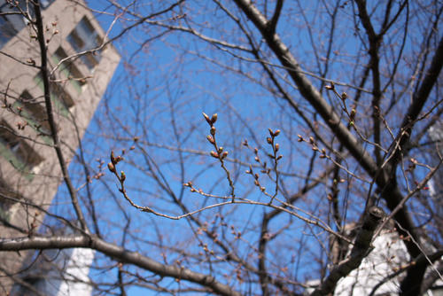 20120329_075554.jpg