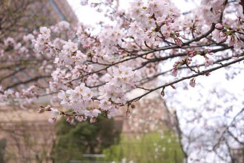 20120403_075042.jpg