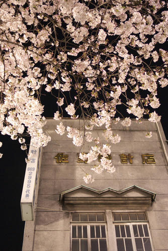 20120405_193152.jpg