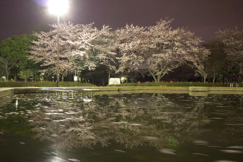 20120413_201228.jpg