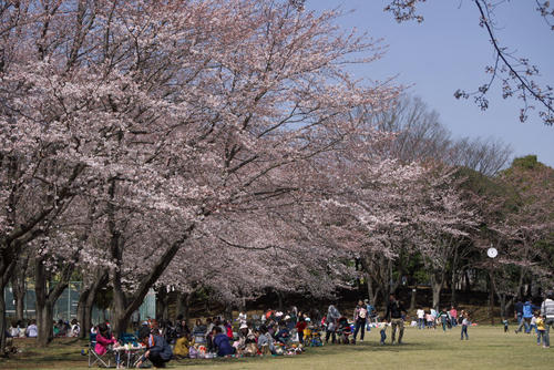 20120408_125346.jpg