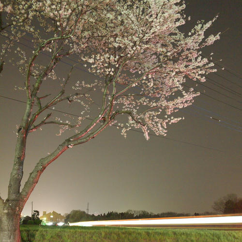20120410_192502.jpg