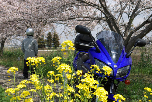 20120415_102506.jpg