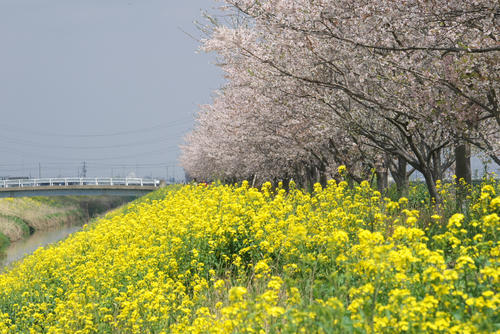 20120415_105118.jpg