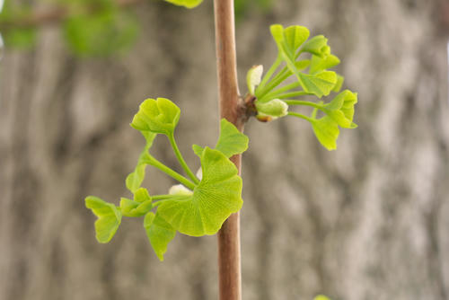 20120422_091310.jpg