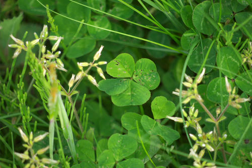20120429_153210.jpg