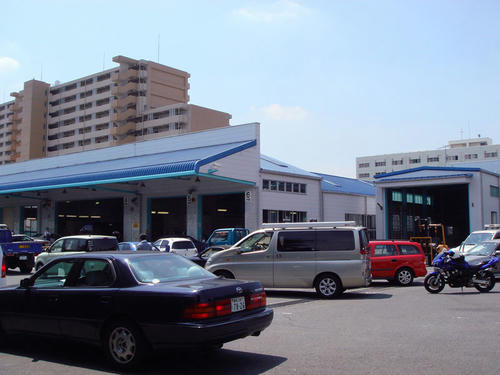 62cf1eb3.jpg