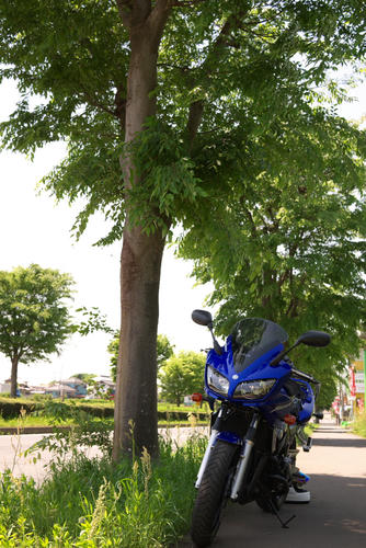 20120505_115234.jpg