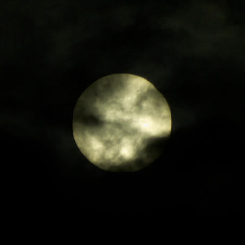20120521_061916.jpg