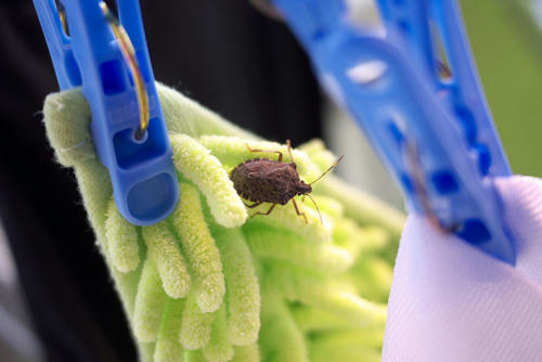 20120603_151632.jpg