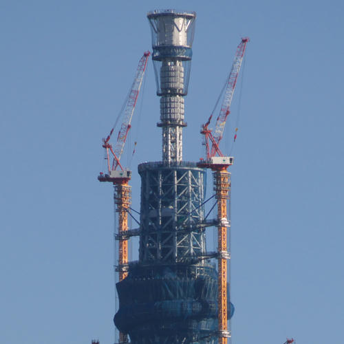20110107_081536.jpg