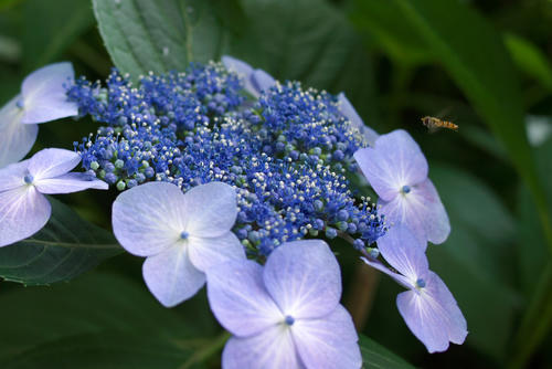 20120617_122204.jpg