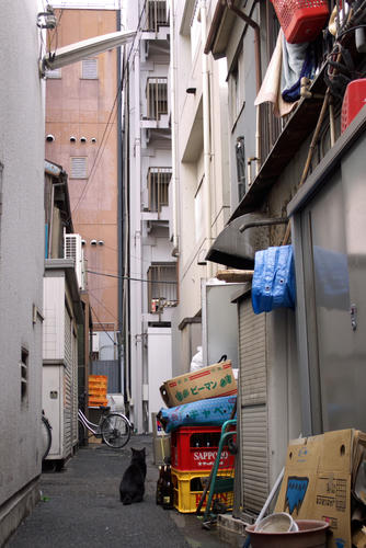 20120620_075436.jpg