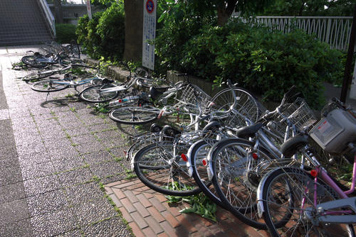 20120620_063146.jpg