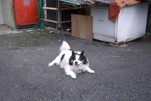 20120713_181342.jpg