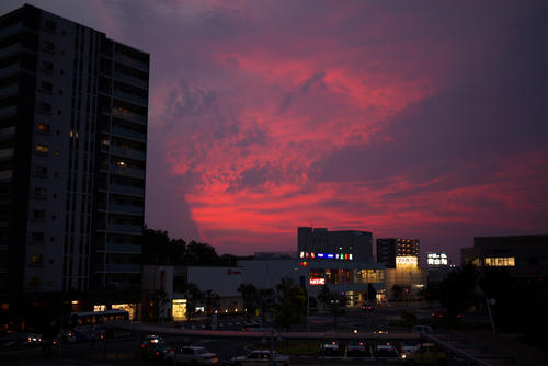 20120718_190526.jpg