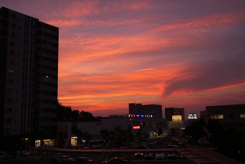 20120727_185904.jpg