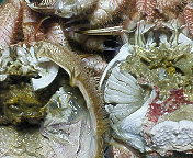 090803b.jpg