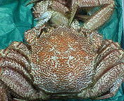 090803a.jpg
