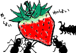 fimg_1275242880.png