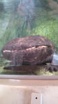 20101112104504.jpg