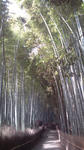 20110504082446.jpg