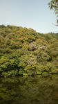 20110504083557.jpg