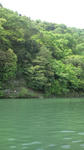 20110504102458.jpg